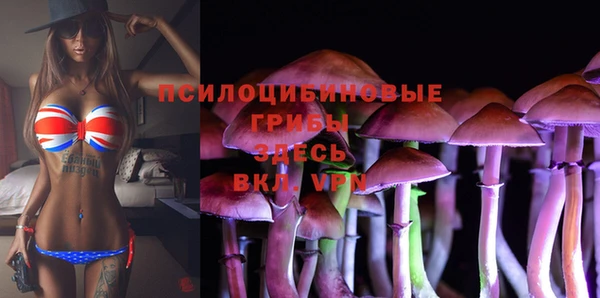ешки Краснослободск